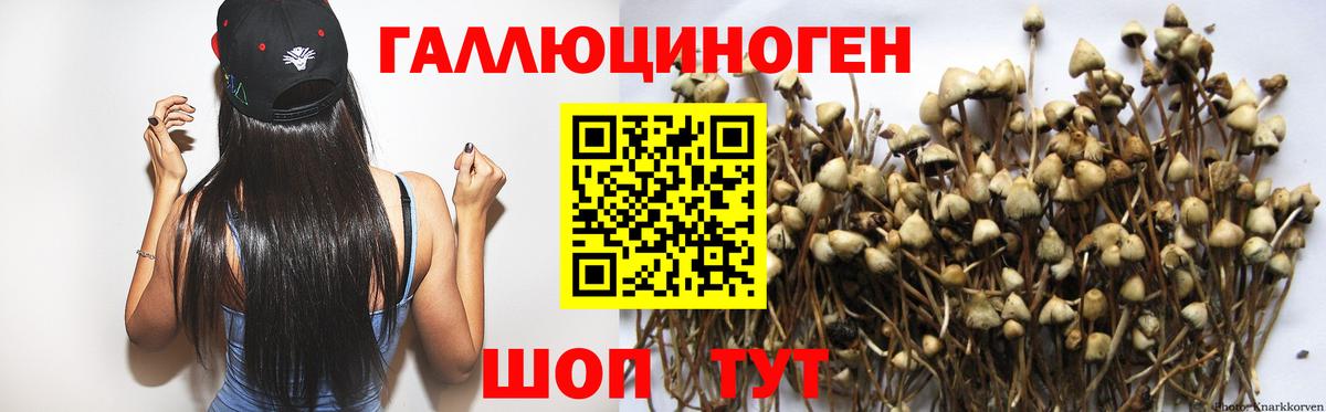 Экстази Светлоград